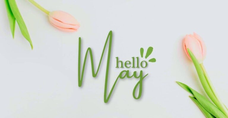 The focus Foundation blog May