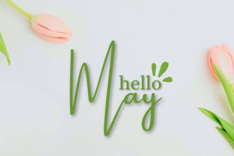 The focus Foundation blog May