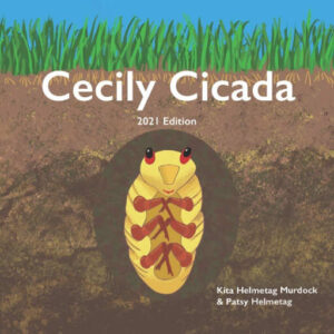 focus foundation blog cicada book