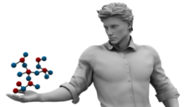 The Focus Foundation Research