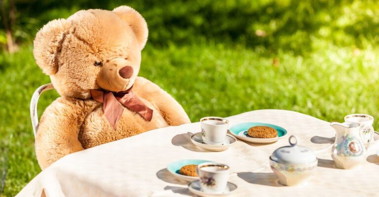 focus foundation teddy bear picnic