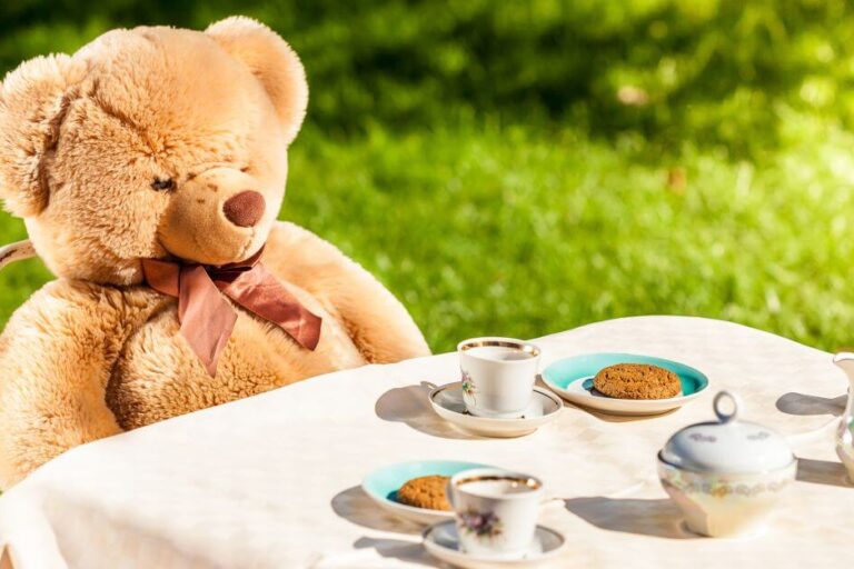 focus foundation teddy bear picnic